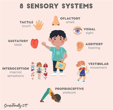 8 Sensory Systems Sensory System Sensory System