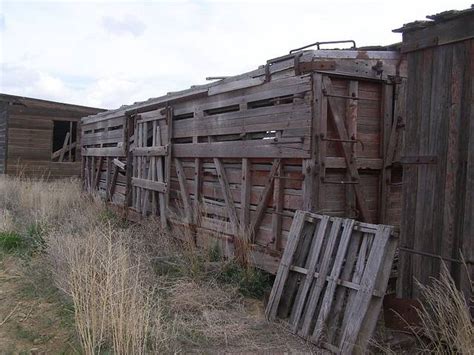 Old Cattle Car The Internets Original