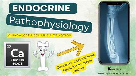 Cinacalcet Mechanism Of Action My Endo Consult