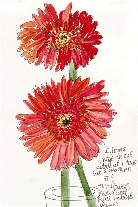 Gerbera Daisy Watercolor At Explore Collection Of Gerbera Daisy Watercolor