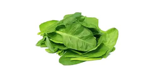 50 Different Types Of Spinach All Around The World [detailed List]