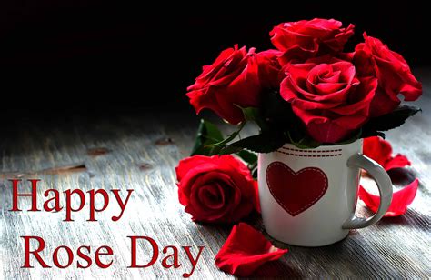 Rose Day Wishes For Friends - 3590x2338 Wallpaper - teahub.io