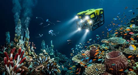 Unlocking The Secrets Of The Ocean How Wondermap Revolutionizes Marine Exploration