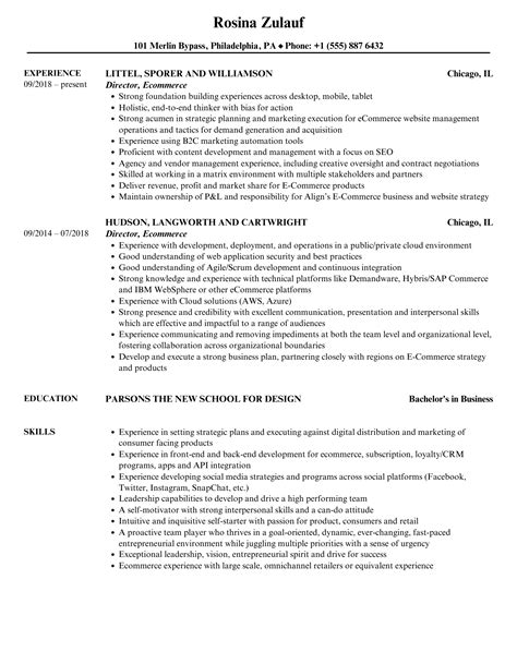 Director, Ecommerce Resume Samples | Velvet Jobs