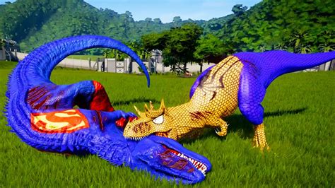 Dinosaurs Battle Superman Giganotosaurus Vs Yellow Allosaurus Battle In Jurassic World