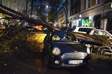 Umgestürzter Baum beschädigt Haus und Autos