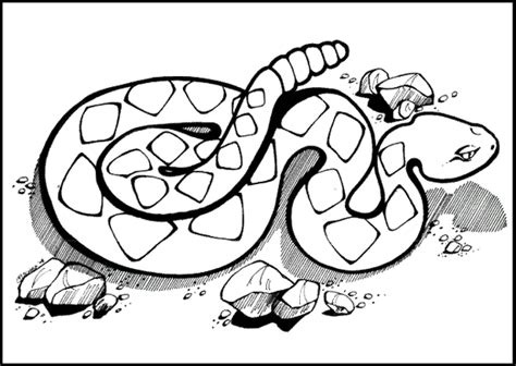 Western Diamondback Rattlesnake Coloring Pages