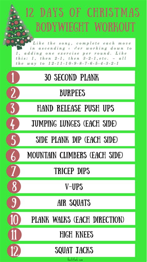 12 Days Of Christmas Workout Gym And Home Versions Christmas Workout Workout