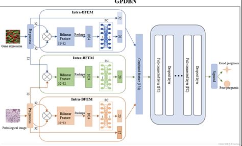 基于可解释多模态深度学习的泛癌症整合组织 基因组分析 Pathomic Fusion An Integrated Framework For