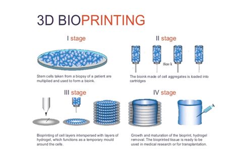 Bioprinting Bioprinting Advances In The Medical And Pharmaceutical