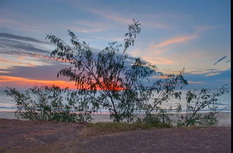 Sunset Through Casuarina Tree Darwin Harbour Nt Austra Flickr