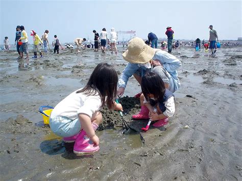 御殿場海岸の潮干狩り イベント 観光三重かんこうみえ