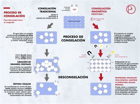 Tecnología Proton Proton Europe