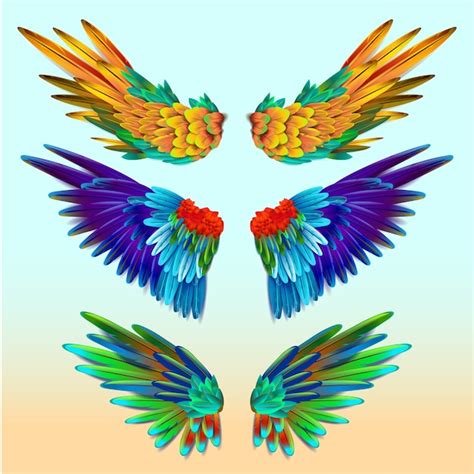 Premium Vector Colourful Wings