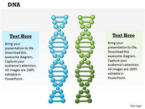 Dna Powerpoint Template Slide Powerpoint Slides Diagrams Themes For