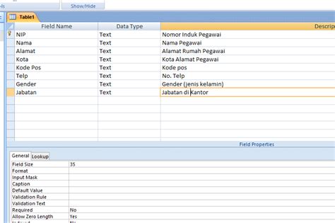 Fungsi Dan Tutorial Membuat Database Dengan Ms Acces