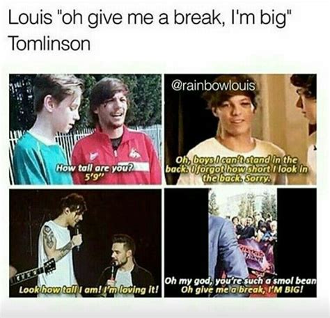 Louis Tomlinson One Direction Humor One Direction Memes One Direction