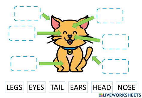 Parts Of The Body Online Exercise For 1º