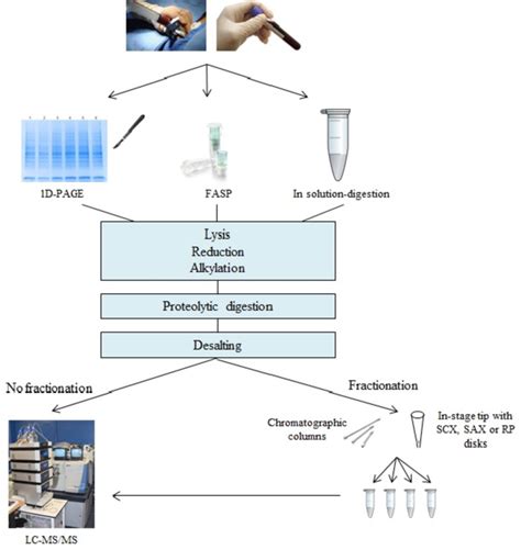 Proteomic Workflow Comprising Three Of The Most Popular Techniques For