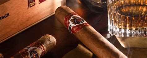 Macanudo Vintage 2010 | Macanudo Cigars