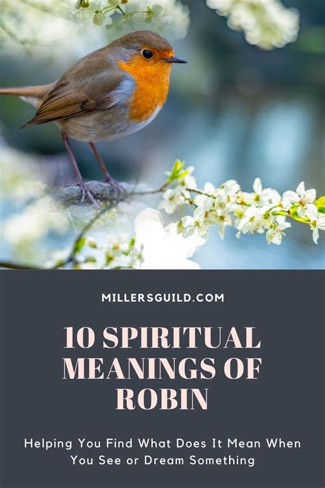 10 Spiritual Meanings of Robin