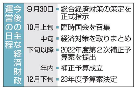 総合経済対策 30日に指示 首相方針 補正年内成立目指す 山陰中央新報デジタル