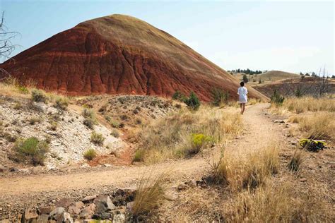 Exploring The Painted Hills—Oregon's Most Alien Landscape