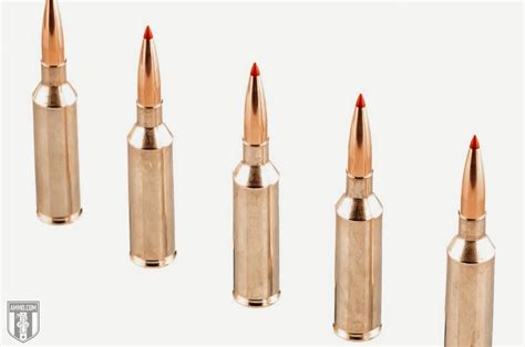 26 Nosler Vs PRC Cartridge Comparison By 41 OFF