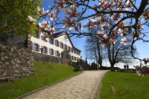 Lais Puzzle Schloss B Rgeln Bei Schliengen Im Markgr Flerland Teile