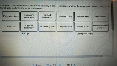 Solved Place Each Structural Name In The Proper Category In