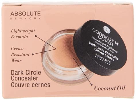 Absolute New York Correct N Cover Dark Circle Concealer Light Best