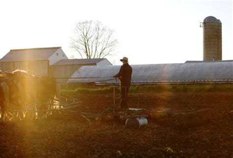 Some Old Order Mennonites Feel Called To Return To Church Ap News