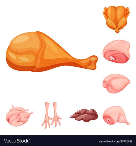 Design meat and raw icon set Royalty Free Vector Image