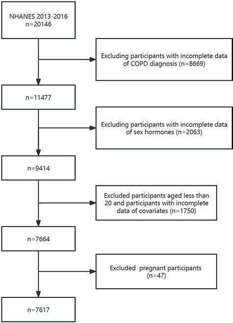 Sex Hormones And Chronic Obstructive Pulmonary Disease Copd