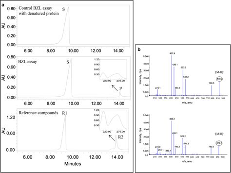 Analyses Of Bzl Assay A Hplc Analysis Inserts Show The Uv Spectra Of