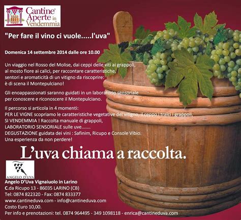 MoliSeb Wine Food Blog I SAPORI E I PROFUMI DI UNA TRADIZIONE DAL