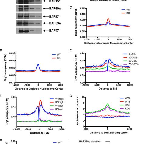 Mnase Seq Revealed Distinct Nucleosome Profiles At Promoters Associated