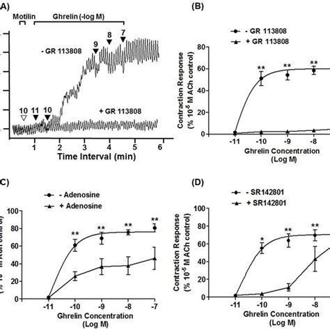 Effects Of Gr113808 5ht 4 Receptor Antagonist Adenosine Adenosine Download Scientific