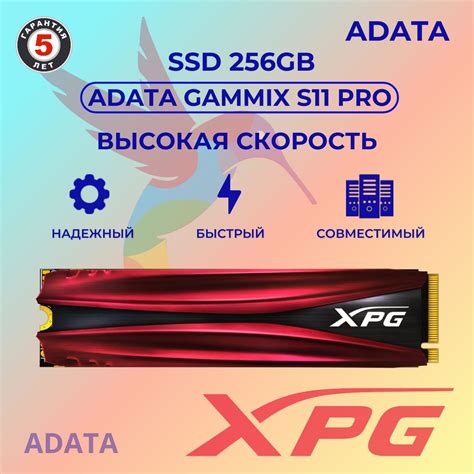 256 ГБ Внутренний SSD диск ADATA S11 AGAMMIXS11P 256GT C купить по