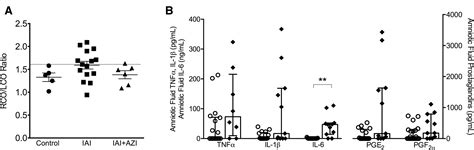 Maternal Azithromycin Therapy For Ureaplasma Parvum Intraamniotic