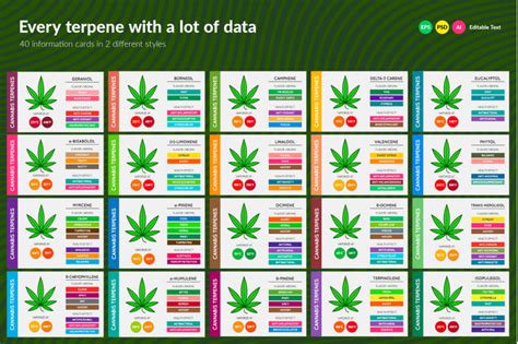 Cannabis Terpenes Information Charts By Ckybe S Store Thehungryjpeg