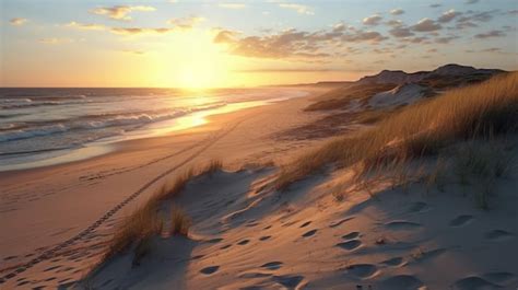 Premium AI Image | Panoramic view of a dune beach at sunset Generative AI