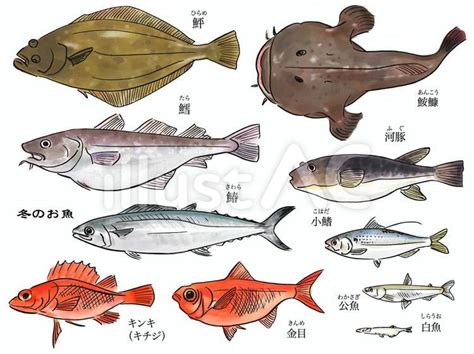 冬のお魚イラスト No 22445379｜無料イラスト・フリー素材なら「イラストac」