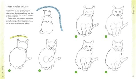 How To Draw A Cat Art For Kids Hub - Howto Techno