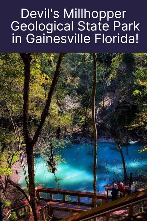 Devil S Millhopper Geological State Park In Gainesville Florida Outdoors Adventure Float