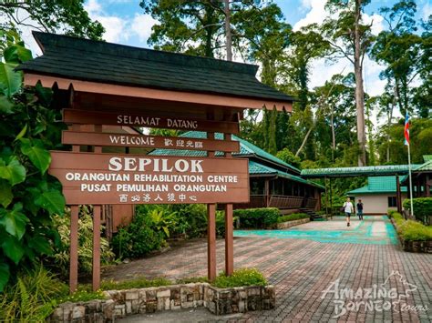 Sandakan Sepilok Orang Utan Centre City Tour Amazing Borneo Tours