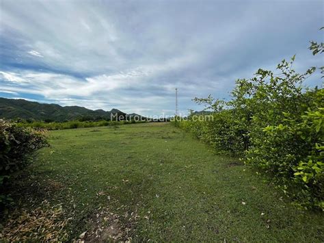 Venta De Lote O Casalote En Girardot Girardot 10843 M4921318