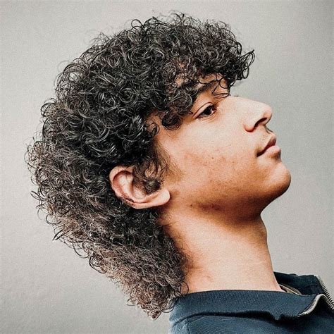 Curly Hairstyles For Men 2024 Ediva Diannne