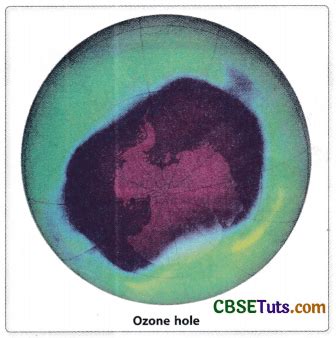 Ozone Layer Depletion - Cause, Effects, and Solutions - CBSE Tuts