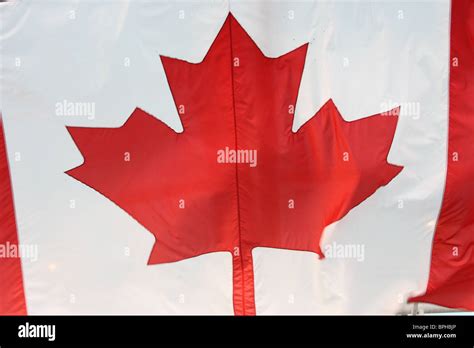 Canadian flag leaf hi-res stock photography and images - Alamy